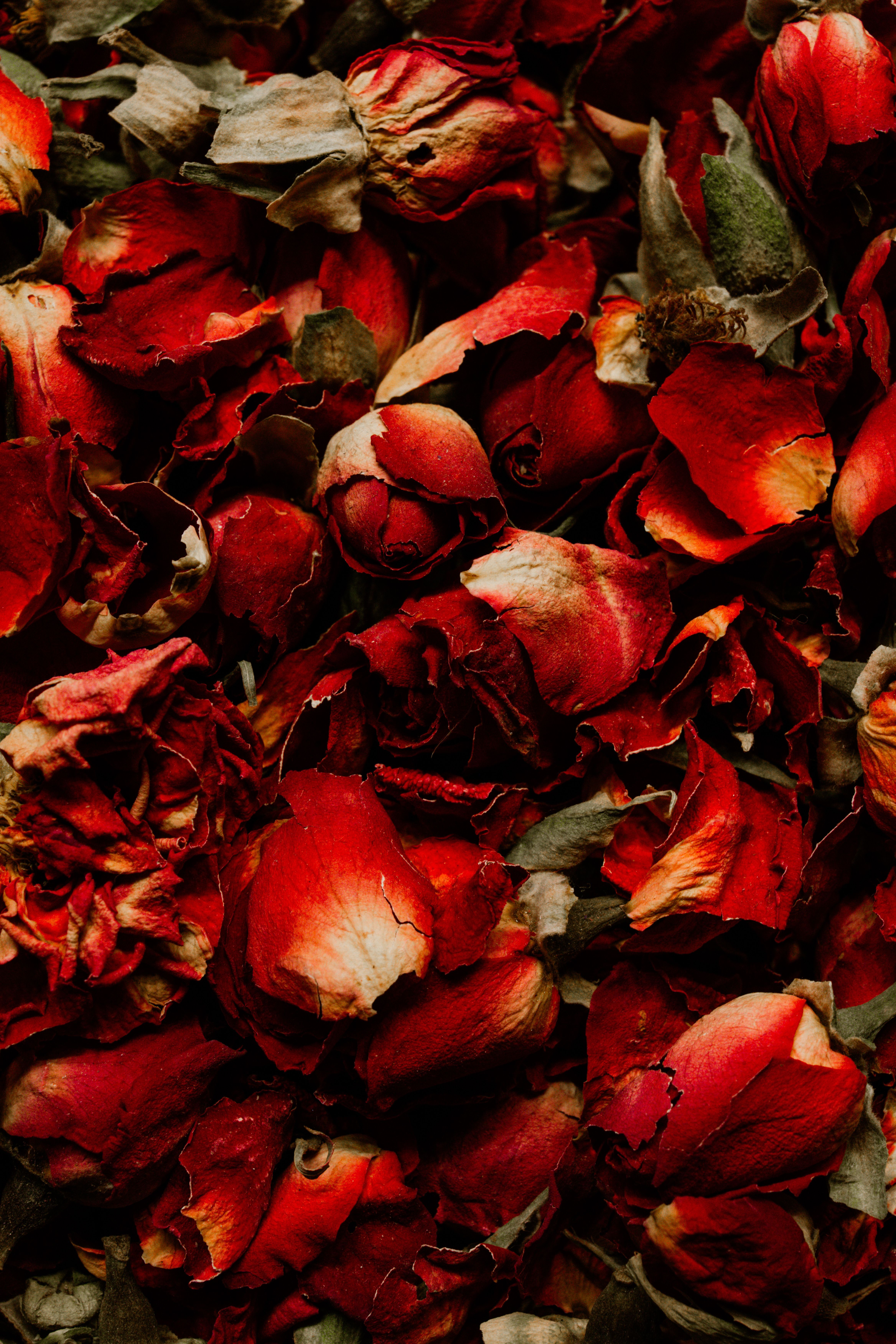 Dried organic Rose Petals
